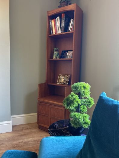 Mid Century Nathan Bookcase