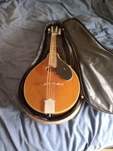 Palmer mandolin P3W  late 70s r early 80s and gigbag