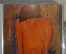 Blur CD  - 13