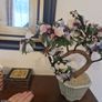 Bonsai Image 6