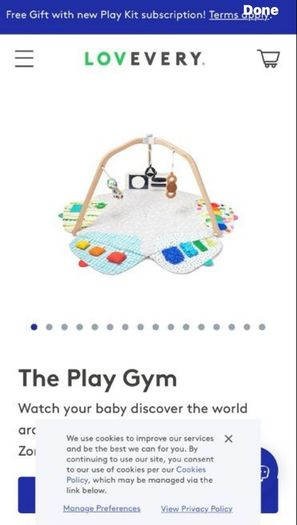 Lovevery play gym mat