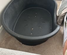 Dog Bed