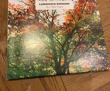 Ludovico Einaudi - In a Time Lapse