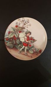 Wedgwood Bone China World of Fairies Plate