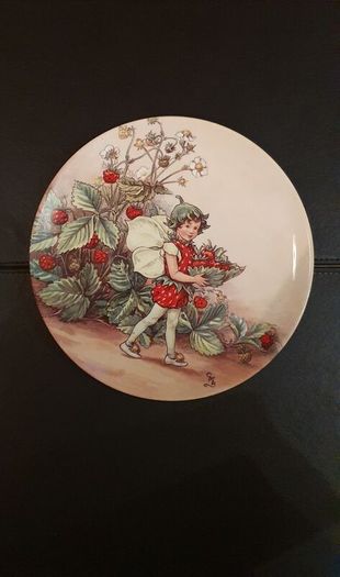 Wedgwood Bone China World of Fairies Plate