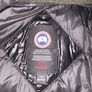canada goose hybrid Image 4