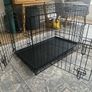 Dog Crate Medium Image 5
