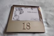 Milestone Photo Frame