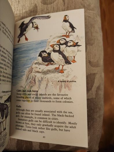 Whizz Kids. Birdwatching First Edition Vintage 1979 Paperback In Good Condition. 36.