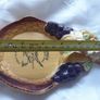 Spoon Rest Image 3