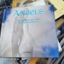 Angel items Image 4