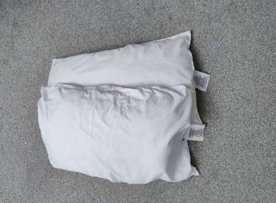 Set Of 2 Pillows