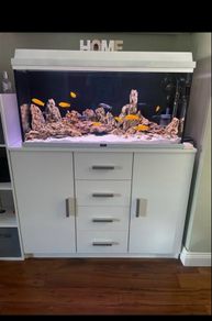 Malawi fish tank custom made (without fish and stand)