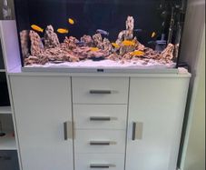 Malawi fish tank custom made (without fish and stand)