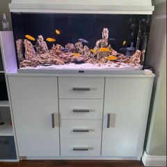 Malawi fish tank custom made (without fish and stand)