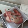 Quiz block heel sandals Brand new in box Postage included Image 2