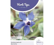 HT Borage seeds 2g | Sow February - August