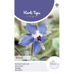 HT Borage seeds 2g | Sow February - August