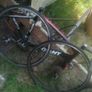bike Image 3