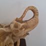 Elephant Image 2