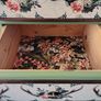 Tall boy chest of drawers Image 9