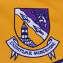 Vintage Wexford GAA jersey Image 3