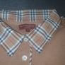 burberry Image 2