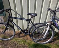 2 Adult Bikes