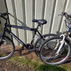 2 Adult Bikes