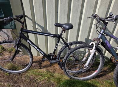 2 Adult Bikes
