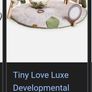 Tiny Love Luxe Developmental Play Gym with Music, Play Mat Image 9