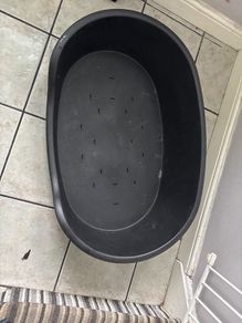 dog bed