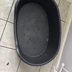 dog bed