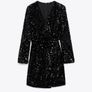 Zara Velvet Blazer Dress Image 5