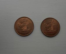 2. Irish Pennies.