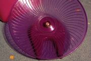 Gerbil/hamster/rat wheel