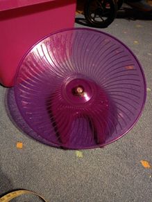 Gerbil/hamster/rat wheel