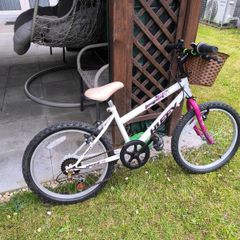 2 Girls Bike for sale