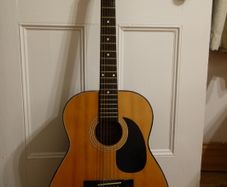 Guitar