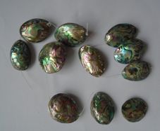 Abalone shell beads, Craft supplies, Jewellery making supplies, Shell beads, Focal beads