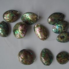 Abalone shell beads, Craft supplies, Jewellery making supplies, Shell beads, Focal beads