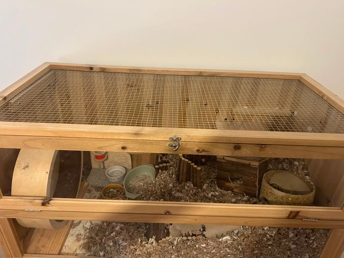 Hamster Cage & accessories