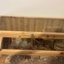 Hamster Cage & accessories Image 2