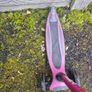 Globber scooter Image 2