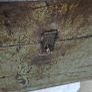 machinests tool chest Image 2