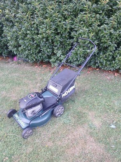 Prolawn Push Lawnmower