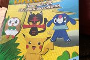 Pokemon book