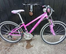Cuda kinetic kids bike