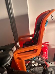 Thule Ridealong