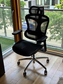 Sihoo Doro C300 Ergonomic Office Chair